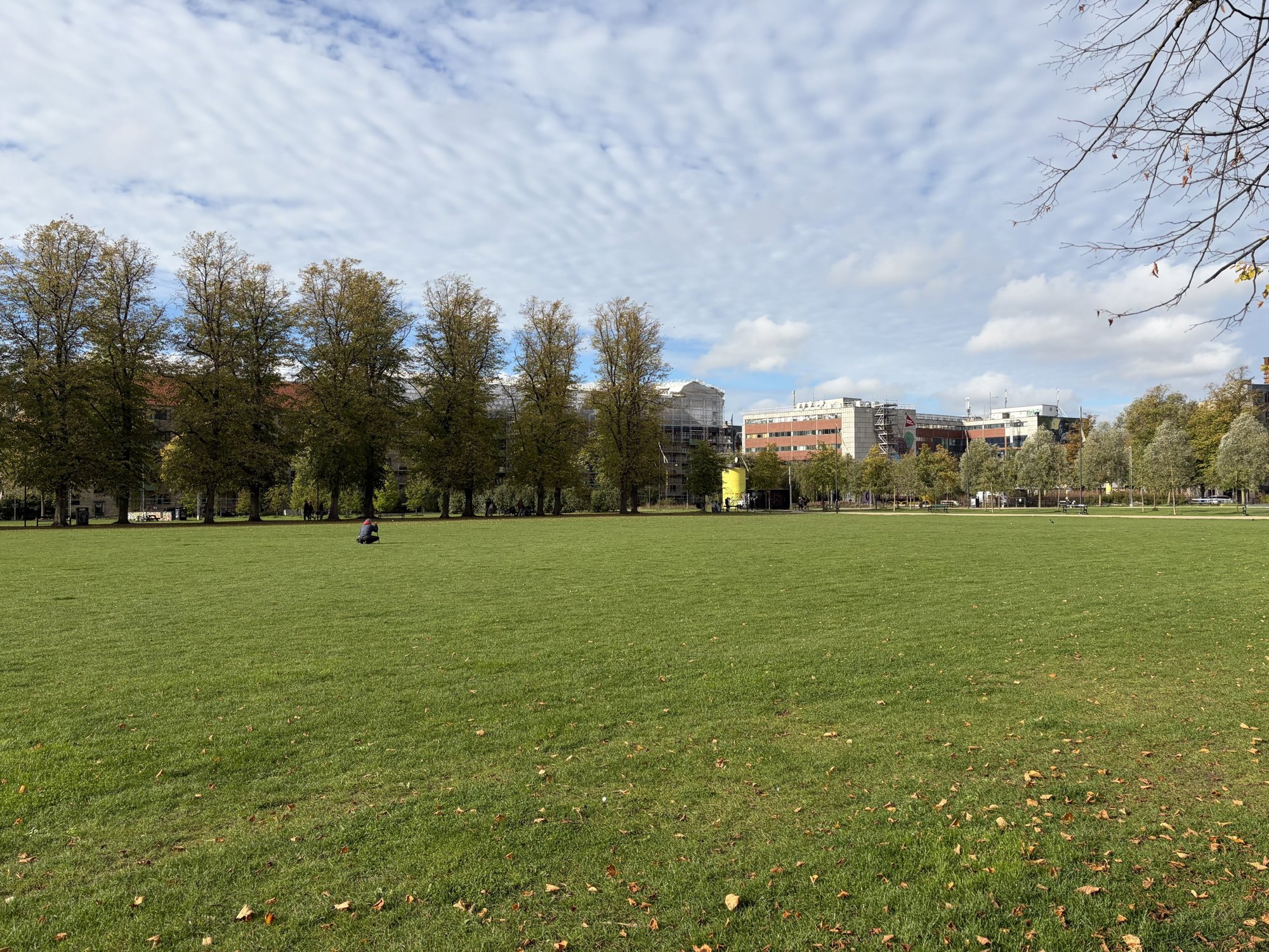 Asminderødgade 3, st. tv., 2200 København N